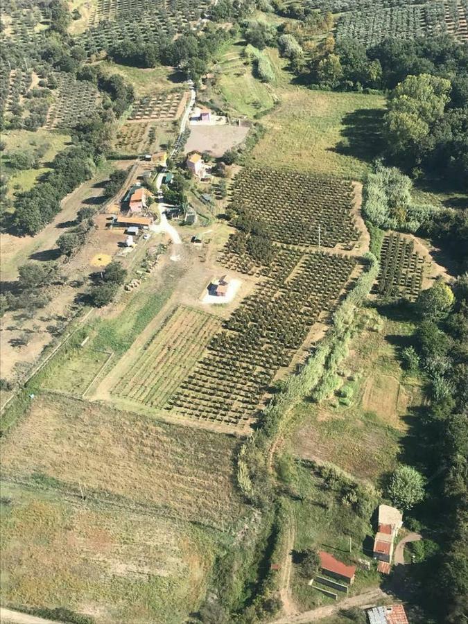 Piccolo Casale A "Le Moline" In Una Vera Fattoria Ветралла Экстерьер фото