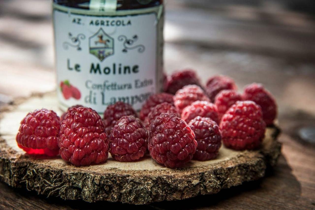 Piccolo Casale A "Le Moline" In Una Vera Fattoria Ветралла Экстерьер фото